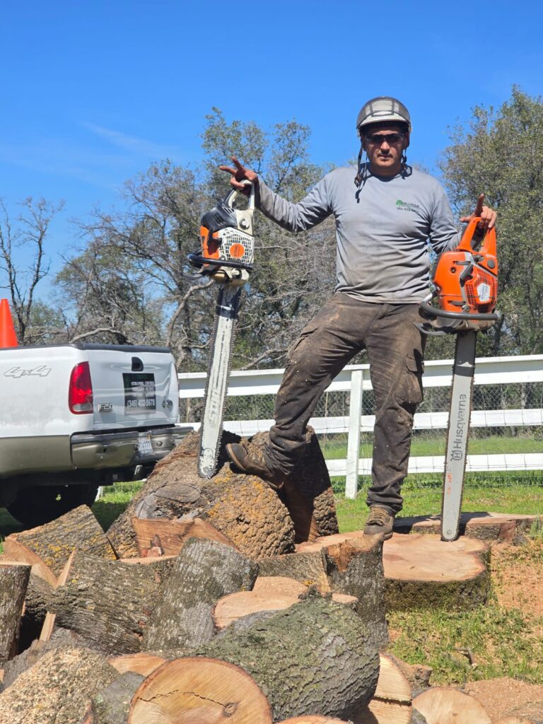 Tree Services